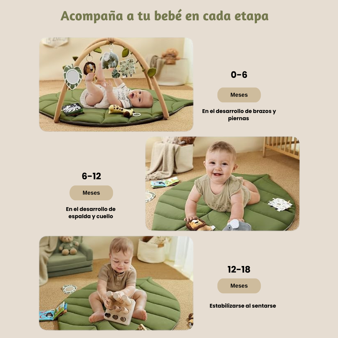 Baby Gym