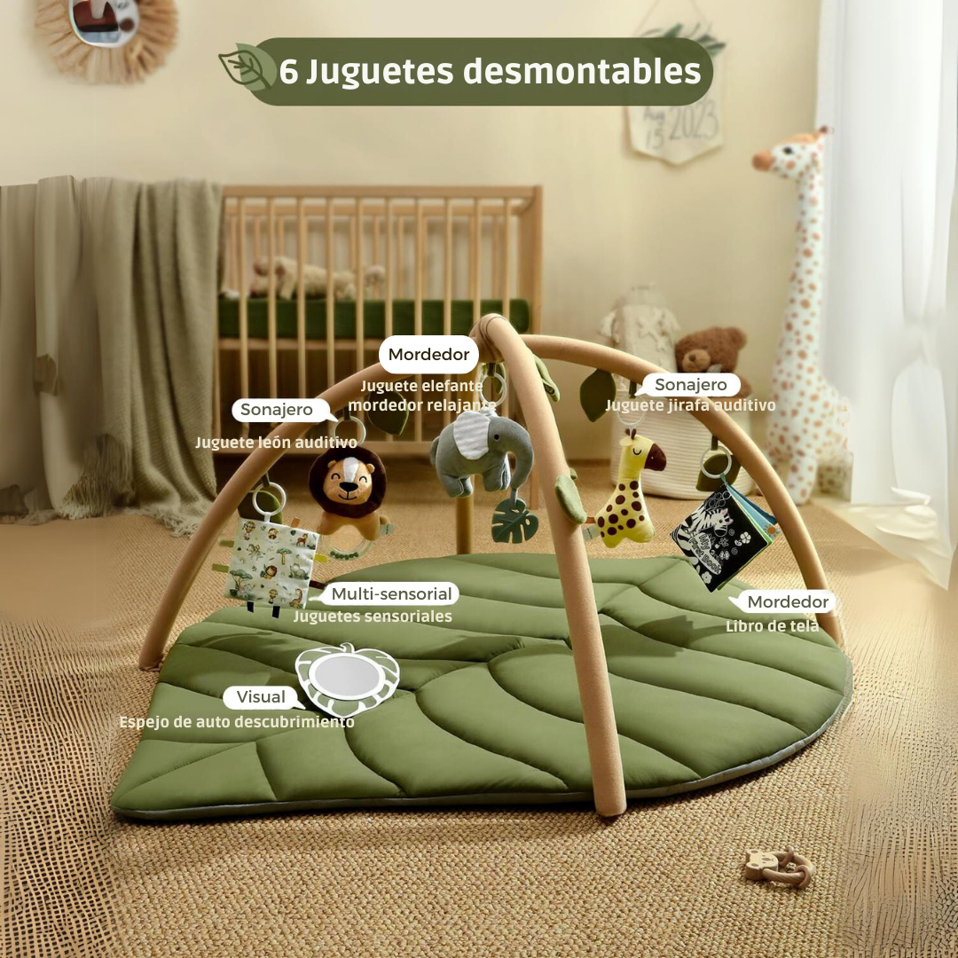 Baby Gym