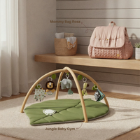 Jungle Baby Gym