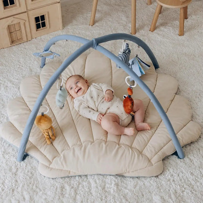 Baby Gym