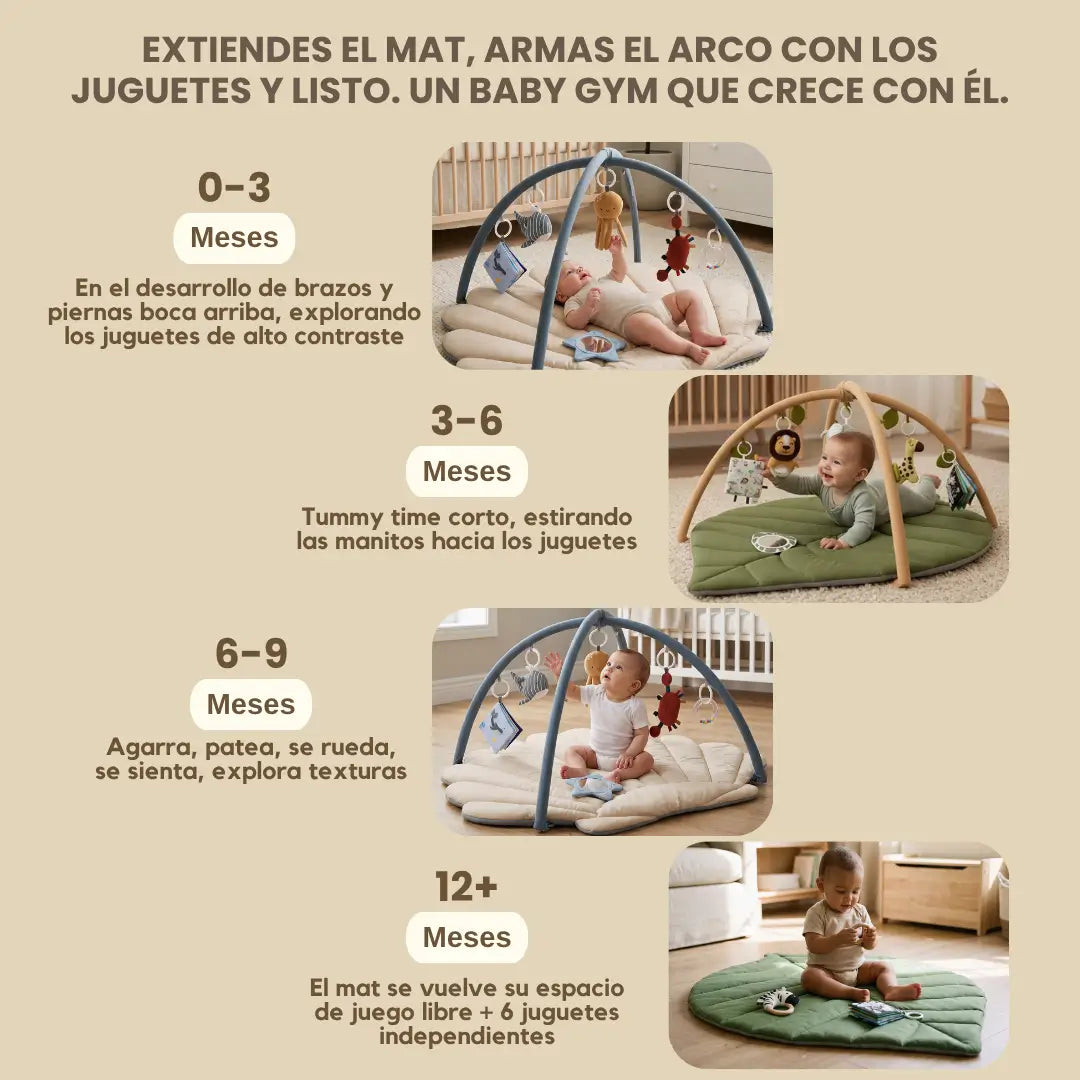 Baby Gym