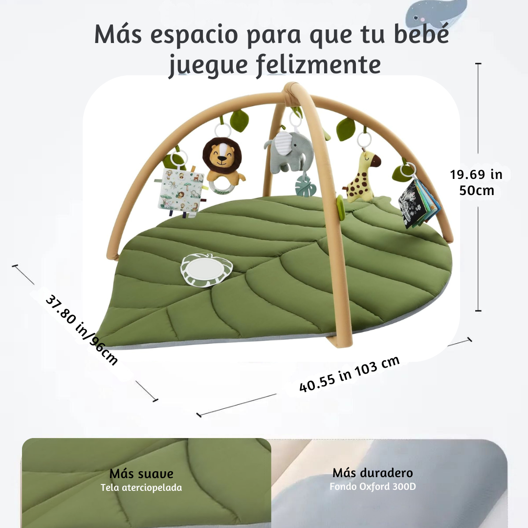 Baby Gym