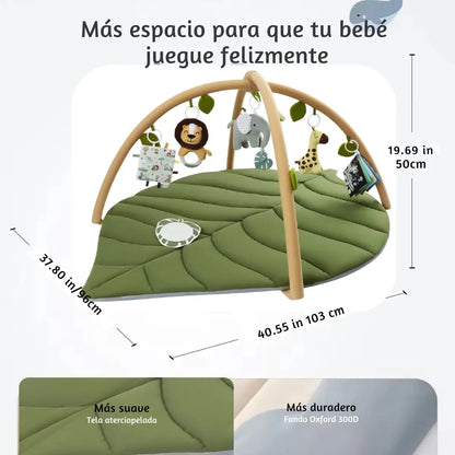 Baby Gym