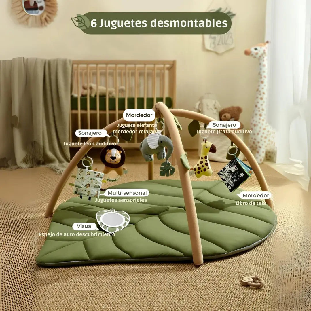 Baby Gym